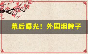 幕后曝光！外国烟牌子批发大全“刀锯斧钺”