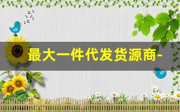 最大一件代发货源商-一件代发最便宜货源