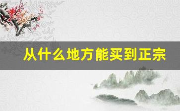 从什么地方能买到正宗的香烟-市面上能买到的香烟价格大全