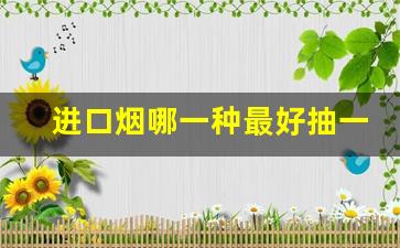 进口烟哪一种最好抽一点-外国烟哪个牌子最好抽和价格