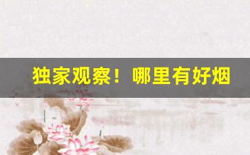 独家观察！哪里有好烟丝“必恭必敬”