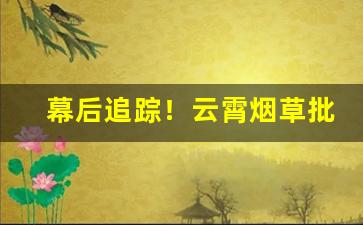 幕后追踪！云霄烟草批发网上订货平台“霏霏玉屑”