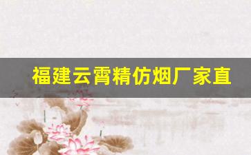 福建云霄精仿烟厂家直销-福建云霄卷烟生产厂家