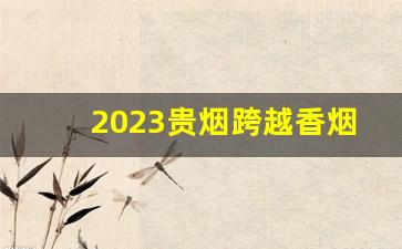 2023贵烟跨越香烟价格表图-贵烟100一包的图片