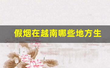 假烟在越南哪些地方生产-路边卖的越南烟是真的吗