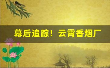 幕后追踪！云霄香烟厂家直销货源“钉嘴铁舌”