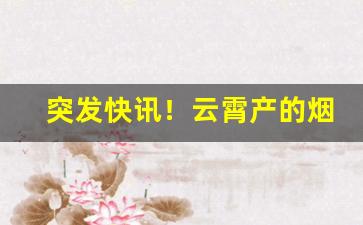 突发快讯！云霄产的烟是真的吗“合家欢乐”
