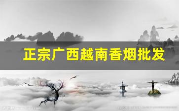 正宗广西越南香烟批发-广西越南烟厂家
