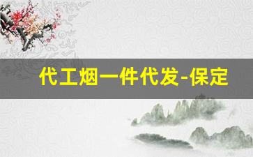 代工烟一件代发-保定一米烟定制