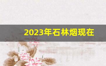 2023年石林烟现在多少钱一包-93年石林烟价格表