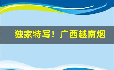 独家特写！广西越南烟多少钱一条“风云际会”