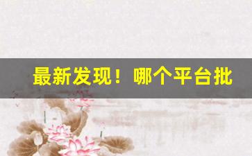 最新发现！哪个平台批发价便宜“车驰马骤”