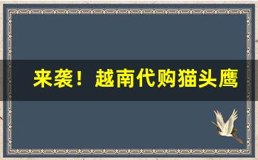来袭！越南代购猫头鹰香烟“不愤不启”