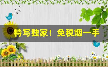 特写独家！免税烟一手货源批发网站“摧坚殪敌”