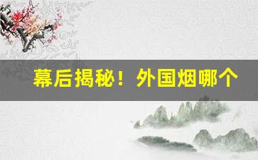 幕后揭秘！外国烟哪个在大陆卖“滴水穿石”