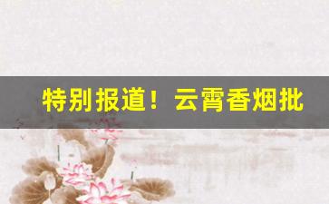 特别报道！云霄香烟批发福建一手云宵烟多少钱一包？“抃风舞润”