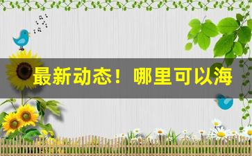 最新动态！哪里可以海淘香烟“阪上走丸”