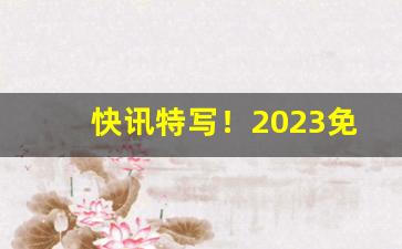 快讯特写！2023免税批发零售“昂霄耸壑”