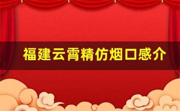 福建云霄精仿烟口感介绍-云霄香烟和正规烟的区别