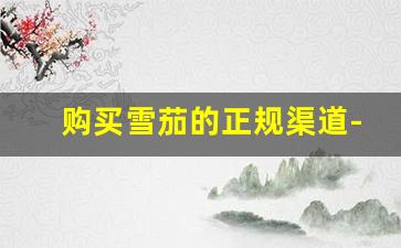 购买雪茄的正规渠道-雪茄购买在哪个网站