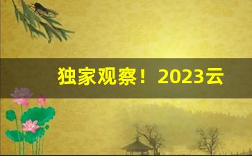 独家观察！2023云霄香烟低价批发货源“措置失宜”