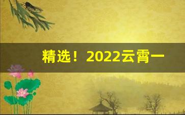 精选！2022云霄一手货源价格“戴罪图功”