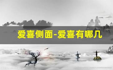 爱喜侧面-爱喜有哪几种系列