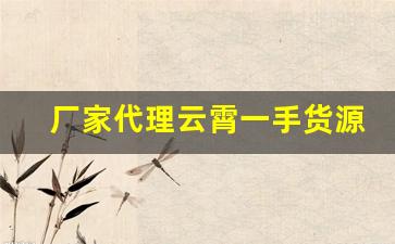 厂家代理云霄一手货源-云霄特产批发供应商