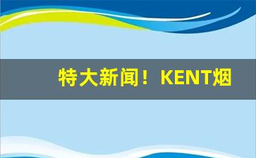 特大新闻！KENT烟标稀吗“方方面面”