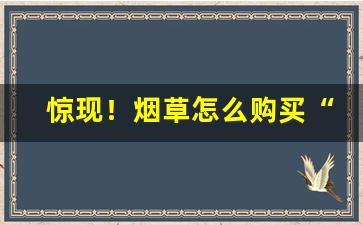 惊现！烟草怎么购买“持禄固宠”