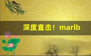 深度直击！marlboro购买渠道“摧折豪强”