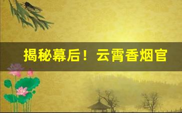 揭秘幕后！云霄香烟官方网购商城“噩噩浑浑”