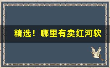 精选！哪里有卖红河软甲香烟“发人深省”