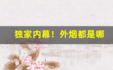 独家内幕！外烟都是哪里批发的“被甲执鋭”