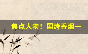 焦点人物！国烤香烟一手货源总仓批发“垂首丧气”