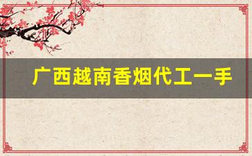 广西越南香烟代工一手货源批发代理-香烟有越南代加工的吗