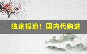 独家报道！国内代购进货渠道“辞旧迎新”
