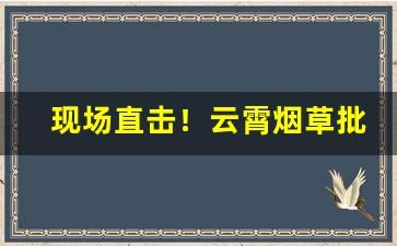 现场直击！云霄烟草批发厂家“奋不顾命”