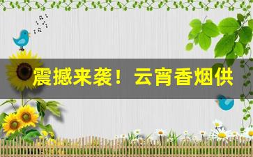 震撼来袭！云宵香烟供应商电话“不知不觉”