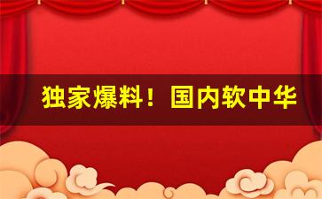 独家爆料！国内软中华香烟成本价是多少“二八佳人”