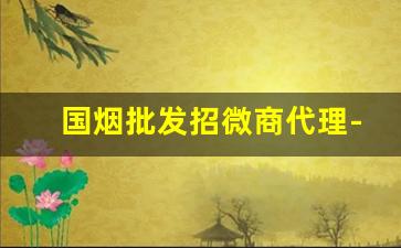 国烟批发招微商代理-外烟招商加盟