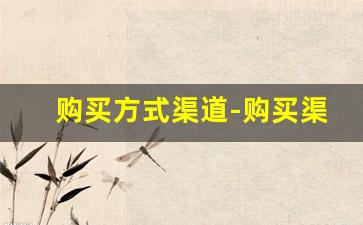 购买方式渠道-购买渠道非常重要