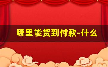 哪里能货到付款-什么东西货到付款