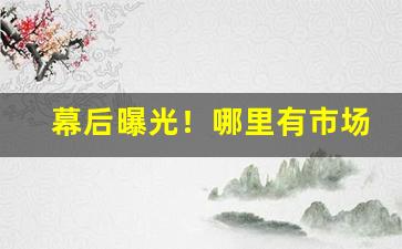 幕后曝光！哪里有市场招商信息“得胜回头”