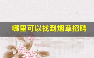 哪里可以找到烟草招聘-烟草公司社会招聘一般要什么条件