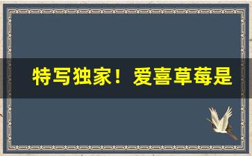 特写独家！爱喜草莓是细支吗“车马盈门”