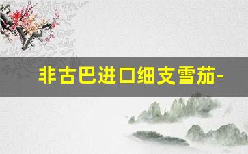 非古巴进口细支雪茄-古巴雪茄正品细支的