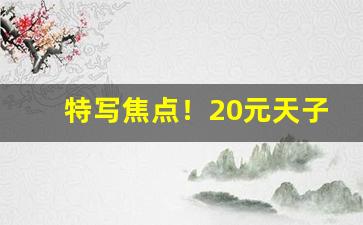 特写焦点！20元天子批发价多少“穿金戴银”