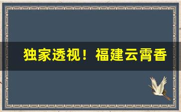 独家透视！福建云霄香烟市场“刁钻古怪”