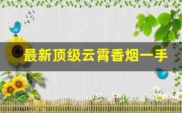 最新顶级云霄香烟一手货源总仓批发-批发云霄烟一条装